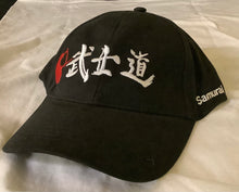 Load image into Gallery viewer, hat (baseball with bill)