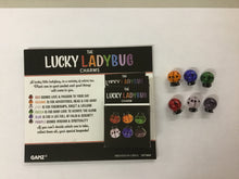 Load image into Gallery viewer, Pocket Tokens pickleball