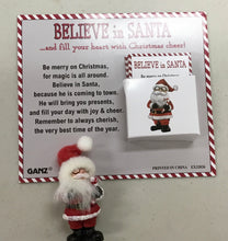 Load image into Gallery viewer, Pocket Tokens pickleball