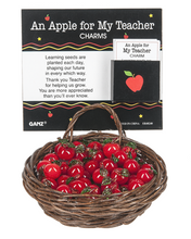 Load image into Gallery viewer, Pocket Tokens pickleball