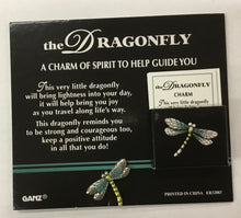 Load image into Gallery viewer, Pocket Tokens pickleball