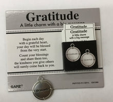 Load image into Gallery viewer, Pocket Tokens pickleball