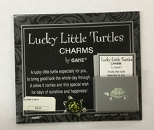 Load image into Gallery viewer, Pocket Tokens pickleball