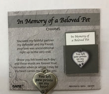 Load image into Gallery viewer, Pocket Tokens pickleball