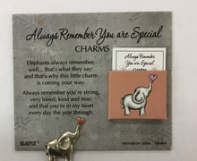 Load image into Gallery viewer, Pocket Tokens pickleball