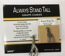 Load image into Gallery viewer, Pocket Tokens pickleball