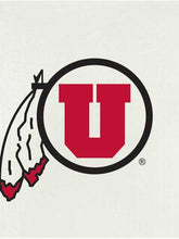 Load image into Gallery viewer, Wet it! Sponge cloth