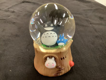 Load image into Gallery viewer, Snow Globe
