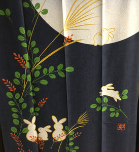 Noren (curtain)