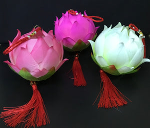 Lotus Lantern