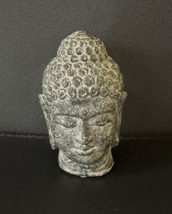 Buddha Head