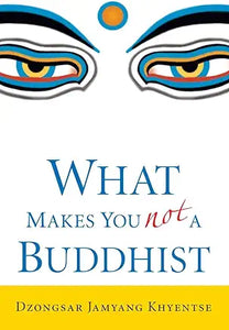 What Makes You not a Buddhist