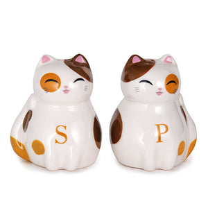 Salt and Pepper Shaker